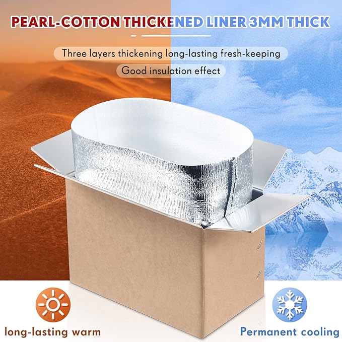 Nuanchu 10 Pieces Double Insulated Mailing Boxes with Aluminum Foil Insulated Bag Liner Cooler Small Mailing Box for Mailing Frozen Food Cold Mailing Boxes for Mailing Packing Moving, 9" x 5" x 6"