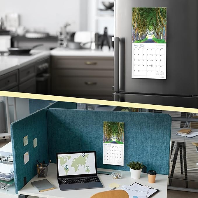 RED EMBER Tree Pathways Mini 2025 Wall Calendar 12 Month | 7" x 14" Open | Thick & Sturdy Paper | Giftable | Calendar 2025