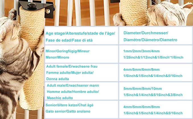 1/8 in (3mm) x 328 ft (100Meter) Natural Sisal Hemp Rope Heavy Duty Thick Twine for Cat Scratcher Post Tree, Garden, Binding, Crafts Packing Material