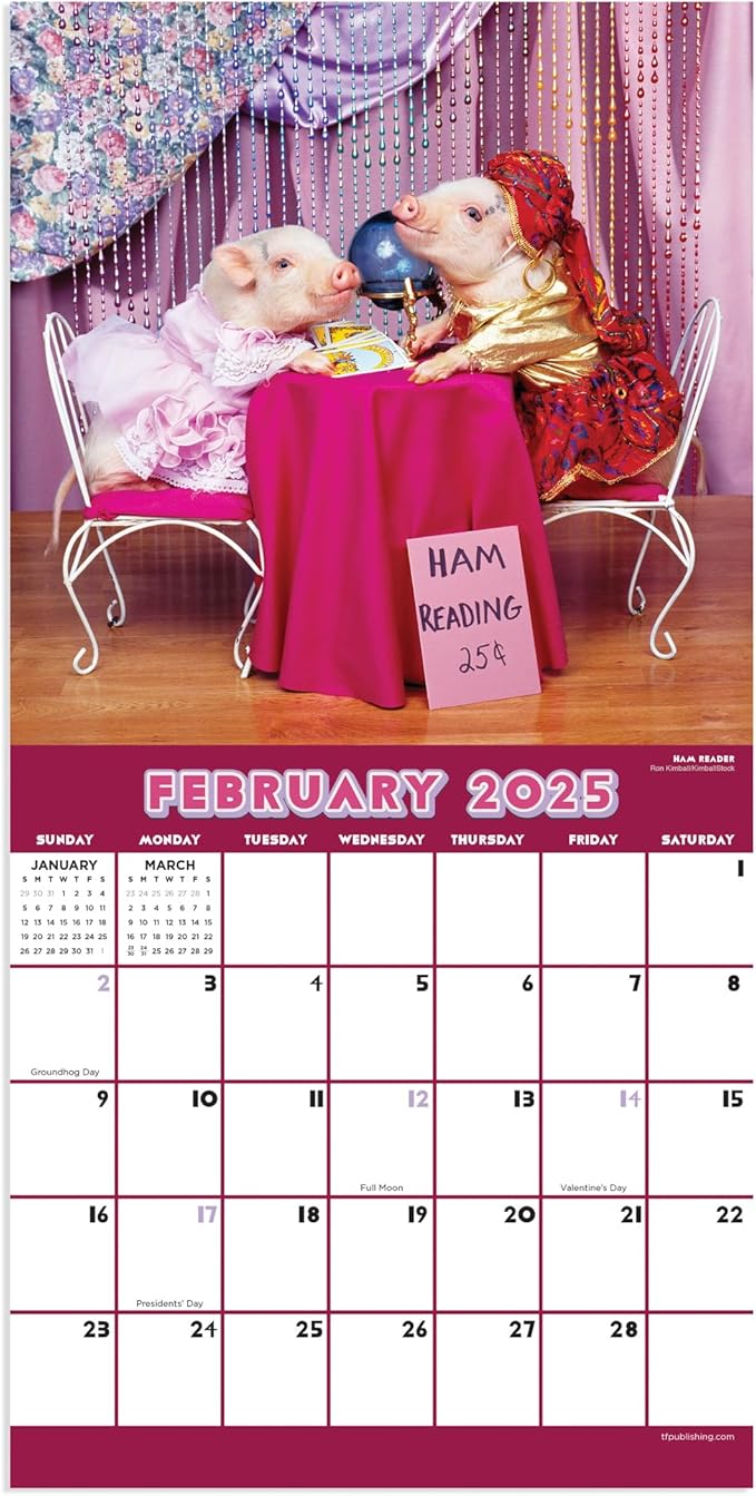 TF PUBLISHING 2025 Playful Pigs Mini Calendar - Large Grids for Appointments and Scheduling - Vertical Monthly Wall Calendar 2025 - Home and Office Organization - Premium Thick Gloss Paper - 7"x7"