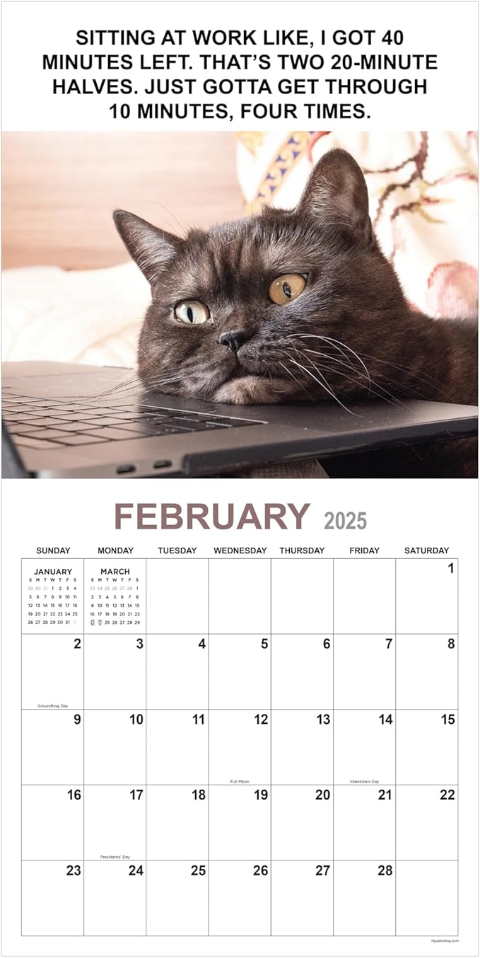 TF PUBLISHING 2025 Corporate Cats Wall Calendar Case of 48 - Large Grids for Appointments and Scheduling - Vertical Monthly Wall Calendar - Home and Office Organization - Premium Gloss Paper - 12"x12”