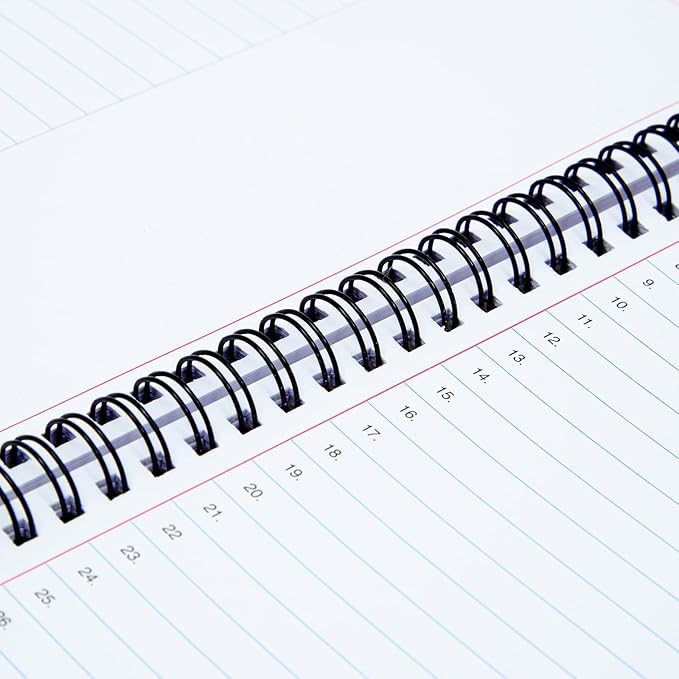 2 Pack Meeting Notebooks for Work, Spiral-Bound Daily Planner for Project Management, Office, Business, Note Taking, Organizer (160 Pages, 8.5 x 11 In)