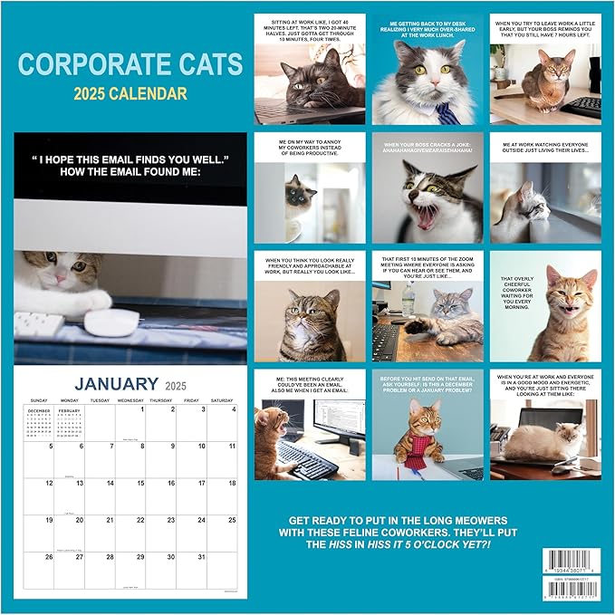 TF PUBLISHING 2025 Corporate Cats Wall Calendar Case of 48 - Large Grids for Appointments and Scheduling - Vertical Monthly Wall Calendar - Home and Office Organization - Premium Gloss Paper - 12"x12”