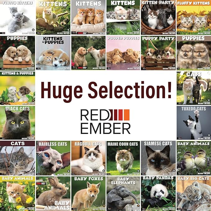 RED EMBER Siamese Cats 2025 Wall Calendar 12 Month | 12" x 24" Open | Thick & Sturdy Paper | Giftable | Calendar 2025
