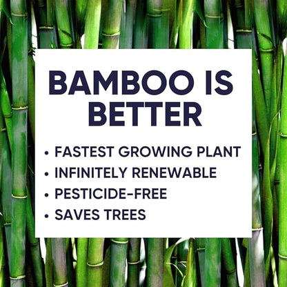 Bamboo Facial Tissues - 12 Boxes of Eco-Friendly, 3-Ply Hypoallergenic Tissues, 90 Sheets per Box, FSC Certified, Plastic-Free Packaging, Soft & Gentle for Home Use