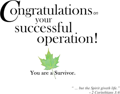 Greeting Cards
