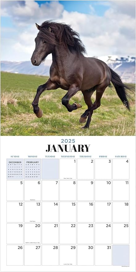 TF PUBLISHING 2025 Horses Wall Calendar - Large Grids for Appointments and Scheduling - Vertical Monthly Wall Calendar 2025 - Home and Office Organization - Premium Gloss Paper - 12"x12”