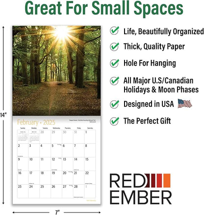 RED EMBER Tree Pathways Mini 2025 Wall Calendar 12 Month | 7" x 14" Open | Thick & Sturdy Paper | Giftable | Calendar 2025