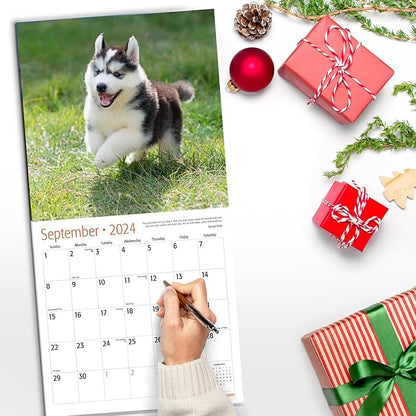 RED EMBER Siberian Husky Puppies 2024 Wall Calendar 12 Month | 12" x 24" Open | Thick & Sturdy Paper | Giftable | Calendar 2024