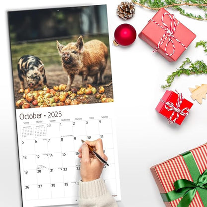 RED EMBER Piglets 2025 Wall Calendar 12 Month | 12" x 24" Open | Thick & Sturdy Paper | Giftable | Calendar 2025