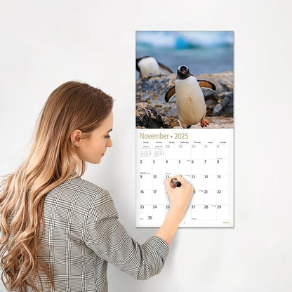 RED EMBER Penguins 2025 Wall Calendar 12 Month | 12" x 24" Open | Thick & Sturdy Paper | Giftable | Calendar 2025
