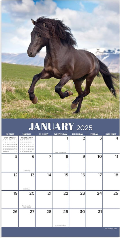 TF PUBLISHING 2025 Horses Mini Calendar Case of 90 - Large Grids for Appointments and Scheduling - Vertical Monthly Wall Calendar 2025 - Home and Office Organization - Premium Gloss Paper - 7"x7"