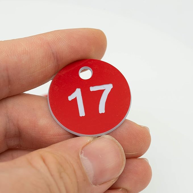 StayMax Plastic ID Number Tags Engraved Tags Key Tags Without Key Rings (201-300, Red)