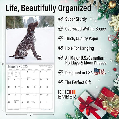 RED EMBER Select - German Shorthaired Pointers 2025 Wall Calendar 12 Month | 12" x 24" Open | Thick & Sturdy Paper | Giftable | Calendar 2025