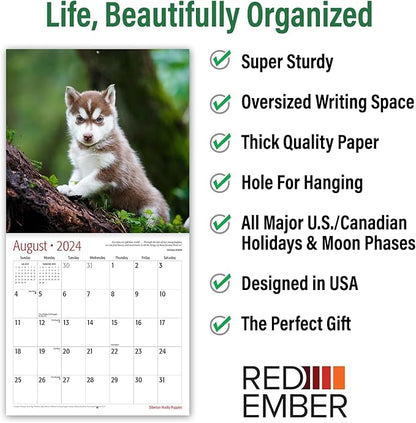 RED EMBER Siberian Husky Puppies 2024 Wall Calendar 12 Month | 12" x 24" Open | Thick & Sturdy Paper | Giftable | Calendar 2024