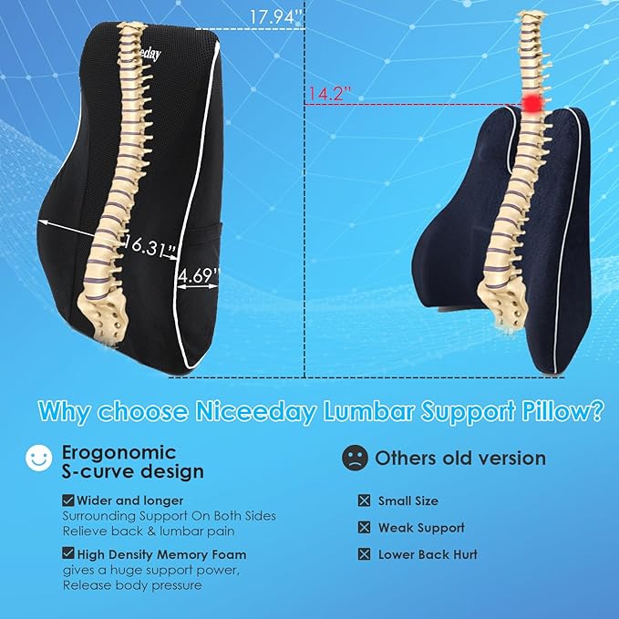 Lumbar Support Pillow for Office Chair Car Back Support Pillow, Memory Foam Gaming Chair Desk Chair Back Cushion for Lower Back Pain Relief, Ergonomic Back Rest with Double Adjustable Straps