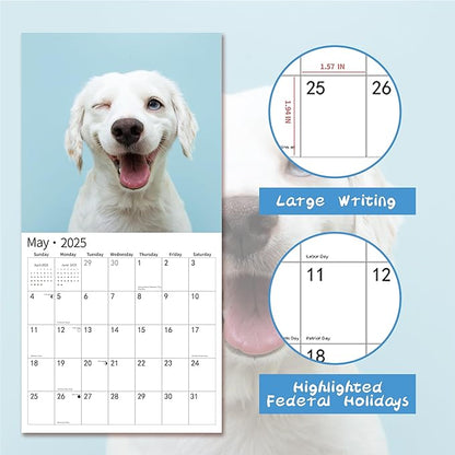 2025 Wall Calendar,Funny Calendar 2025, November 2024 - December 2025, Wall Calendar Funny Animal Memes, 12" x 24" Opened, Full Page 14 Months Thick Paper for Gift Calendar Organizing Planning