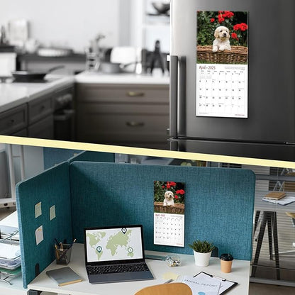 RED EMBER Golden Retriever Puppies Mini 2025 Wall Calendar 12 Month | 7" x 14" Open | Thick & Sturdy Paper | Giftable | Calendar 2025
