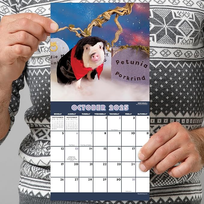 TF PUBLISHING 2025 Playful Pigs Mini Calendar - Large Grids for Appointments and Scheduling - Vertical Monthly Wall Calendar 2025 - Home and Office Organization - Premium Thick Gloss Paper - 7"x7"