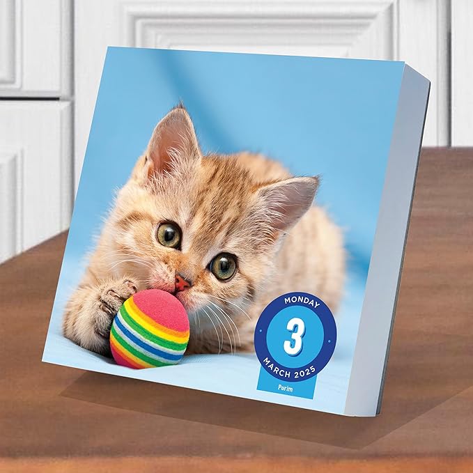 TF PUBLISHING 2025 Cat A Day Daily Desktop Calendar Case of 32 - Home and Office Organization - Over 300 Full-Color Easy Tear-Off Pages - Attached Fold-Out Cardboard Easel for Desks - 5.25” x 5.25”