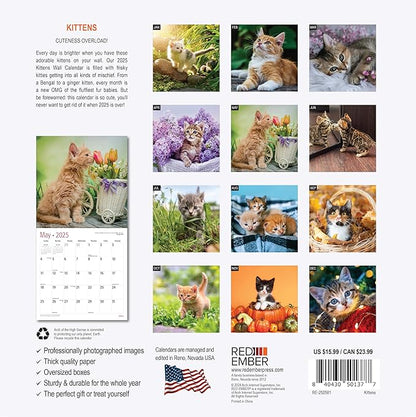 RED EMBER Kittens 2025 Wall Calendar 12 Month | 12" x 24" Open | Thick & Sturdy Paper | Giftable | Calendar 2025