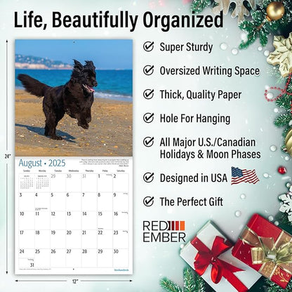 RED EMBER Newfoundlands 2025 Wall Calendar 12 Month | 12" x 24" Open | Thick & Sturdy Paper | Giftable | Calendar 2025