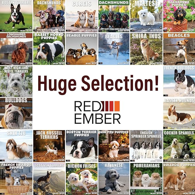 RED EMBER Shih Tzu Puppies 2025 Wall Calendar 12 Month | 12" x 24" Open | Thick & Sturdy Paper | Giftable | Calendar 2025