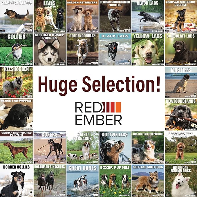 RED EMBER Siberian Husky Puppies 2025 Wall Calendar 12 Month | 12" x 24" Open | Thick & Sturdy Paper | Giftable | Calendar 2025