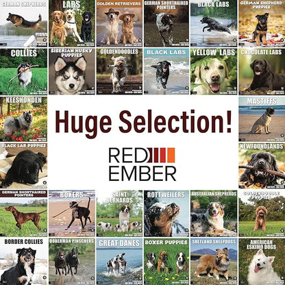 RED EMBER Siberian Husky Puppies 2025 Wall Calendar 12 Month | 12" x 24" Open | Thick & Sturdy Paper | Giftable | Calendar 2025