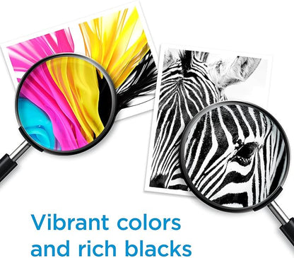 HP 62 Black/Tri-color Ink (2-pack) | Works with HP ENVY 5540, 5640, 5660, 7640 Series, HP OfficeJet 5740, 8040 Series, HP OfficeJet Mobile 200, 250 Series | Eligible for Instant Ink | N9H64FN