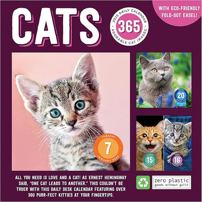 TF PUBLISHING 2025 Cat A Day Daily Desktop Calendar - Home and Office Organization - Over 300 Full-Color Easy Tear-Off Pages - Attached Fold-Out Cardboard Easel for Desks - 5.25” x 5.25”
