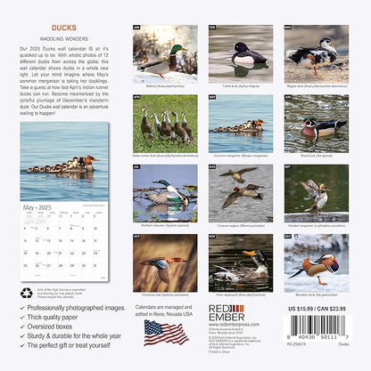 RED EMBER Ducks 2025 Wall Calendar 12 Month | 12" x 24" Open | Thick & Sturdy Paper | Giftable | Calendar 2025