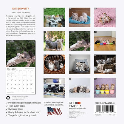 RED EMBER Kitten Party 2025 Wall Calendar 12 Month | 12" x 24" Open | Thick & Sturdy Paper | Giftable | Calendar 2025
