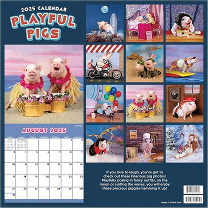 TF PUBLISHING 2025 Playful Pigs Wall Calendar Case of 48 - Large Grids for Appointments and Scheduling - Vertical Monthly Wall Calendar - Home and Office Organization - Premium Gloss Paper - 12"x12”