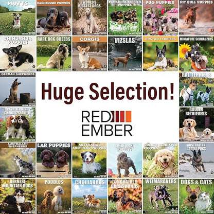 RED EMBER World's Biggest Dogs 2025 Wall Calendar 12 Month | 12" x 24" Open | Thick & Sturdy Paper | Giftable | Calendar 2025