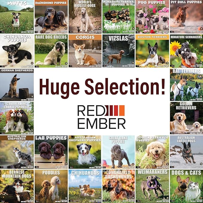 RED EMBER Weimaraners 2025 Wall Calendar 12 Month | 12" x 24" Open | Thick & Sturdy Paper | Giftable | Calendar 2025