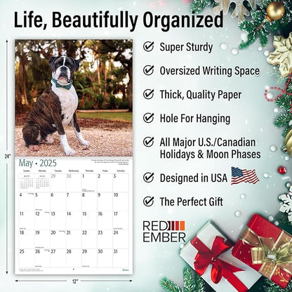 RED EMBER Boxers 2025 Wall Calendar 12 Month | 12" x 24" Open | Thick & Sturdy Paper | Giftable | Calendar 2025