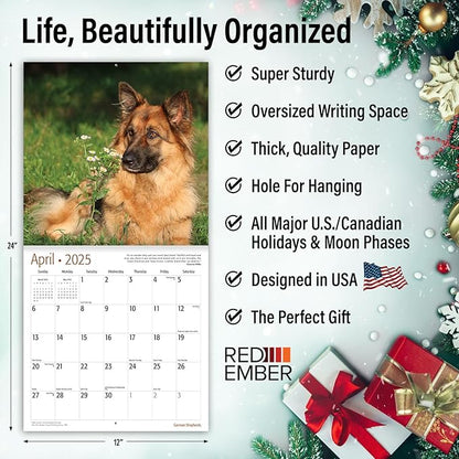 RED EMBER German Shepherds 2025 Wall Calendar 12 Month | 12" x 24" Open | Thick & Sturdy Paper | Giftable | Calendar 2025