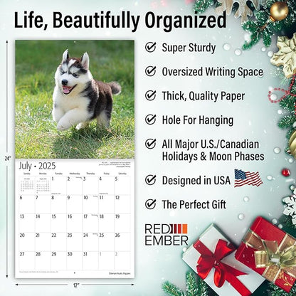 RED EMBER Siberian Husky Puppies 2025 Wall Calendar 12 Month | 12" x 24" Open | Thick & Sturdy Paper | Giftable | Calendar 2025