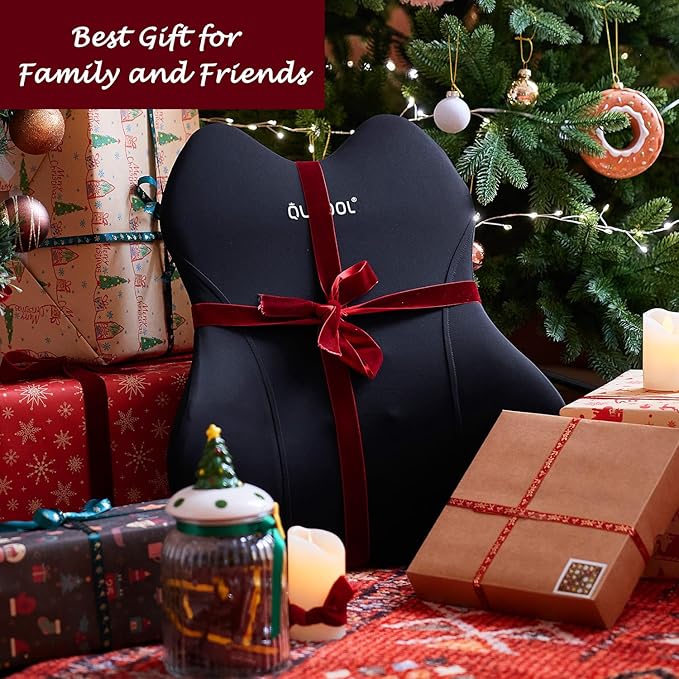 QUTOOL Lumbar Support Pillow for Car/Office Chair, Memory Foam Back Cushion for Car Seat, Back Pain Relief Adjustable Strap and Washable Cover, Lower Back Pillow Fits Most Cars, Trucks (Black)