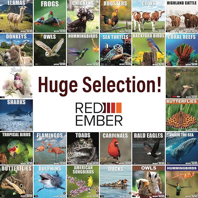 RED EMBER Sharks 2025 Wall Calendar 12 Month | 12" x 24" Open | Thick & Sturdy Paper | Giftable | Calendar 2025