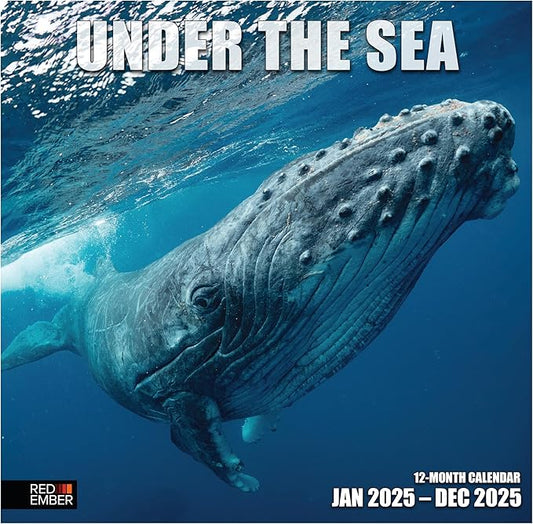 RED EMBER Under the Sea 2025 Wall Calendar 12 Month | 12" x 24" Open | Thick & Sturdy Paper | Giftable | Calendar 2025