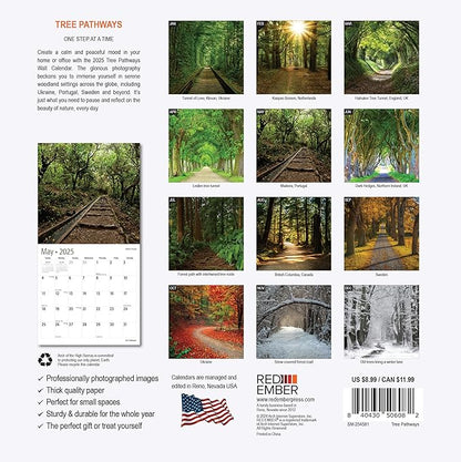 RED EMBER Tree Pathways Mini 2025 Wall Calendar 12 Month | 7" x 14" Open | Thick & Sturdy Paper | Giftable | Calendar 2025